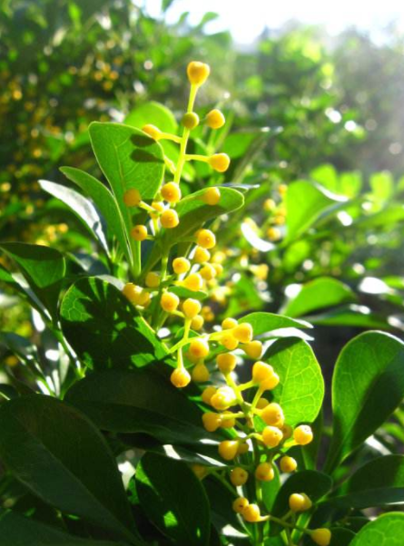 耐酸磚，盲道磚，陶瓷透水磚源頭生產(chǎn)廠家到底適不適合參加展會(huì)